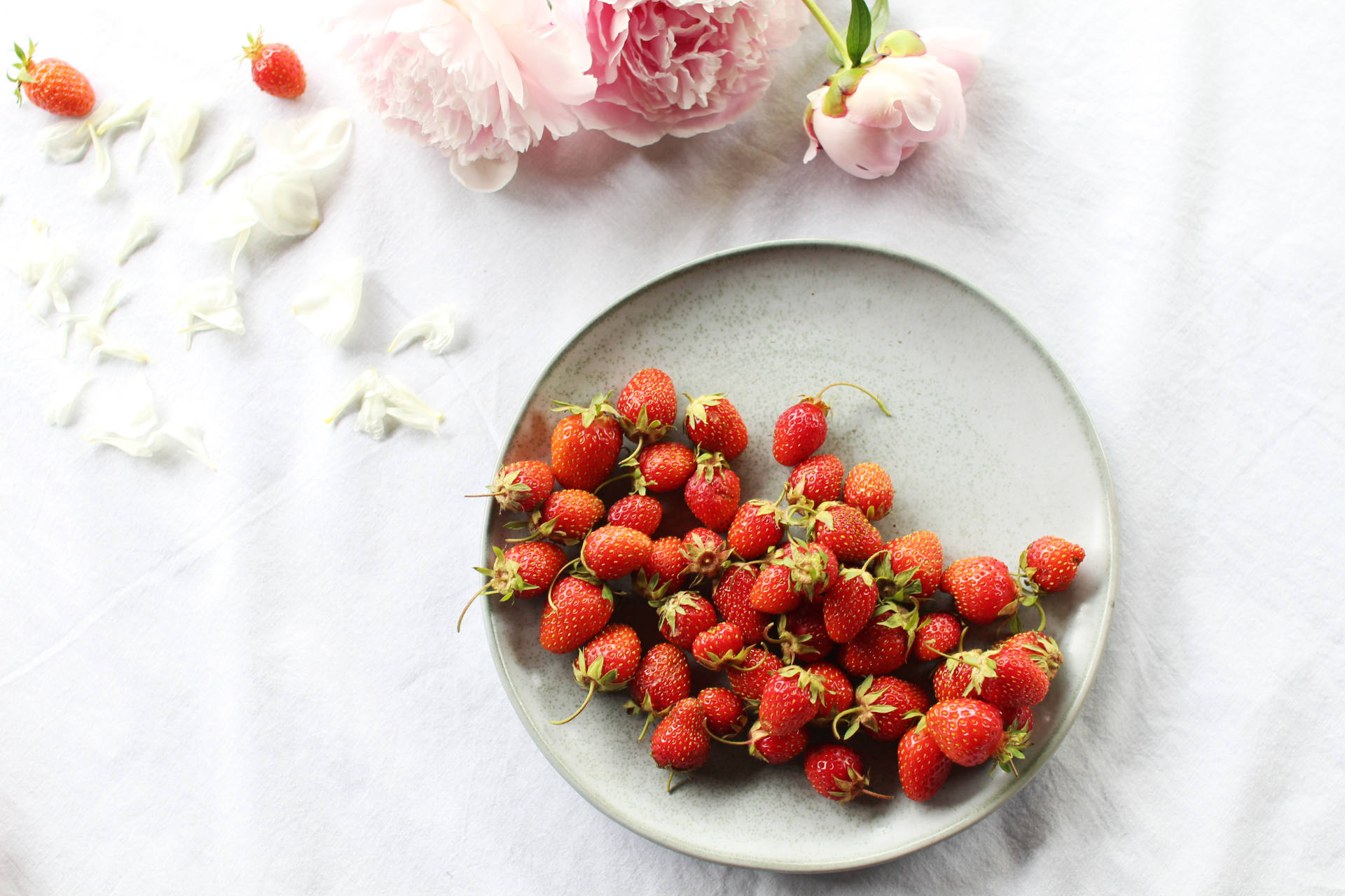fraises et fleurs royal chill stylisme culinaire - photographie