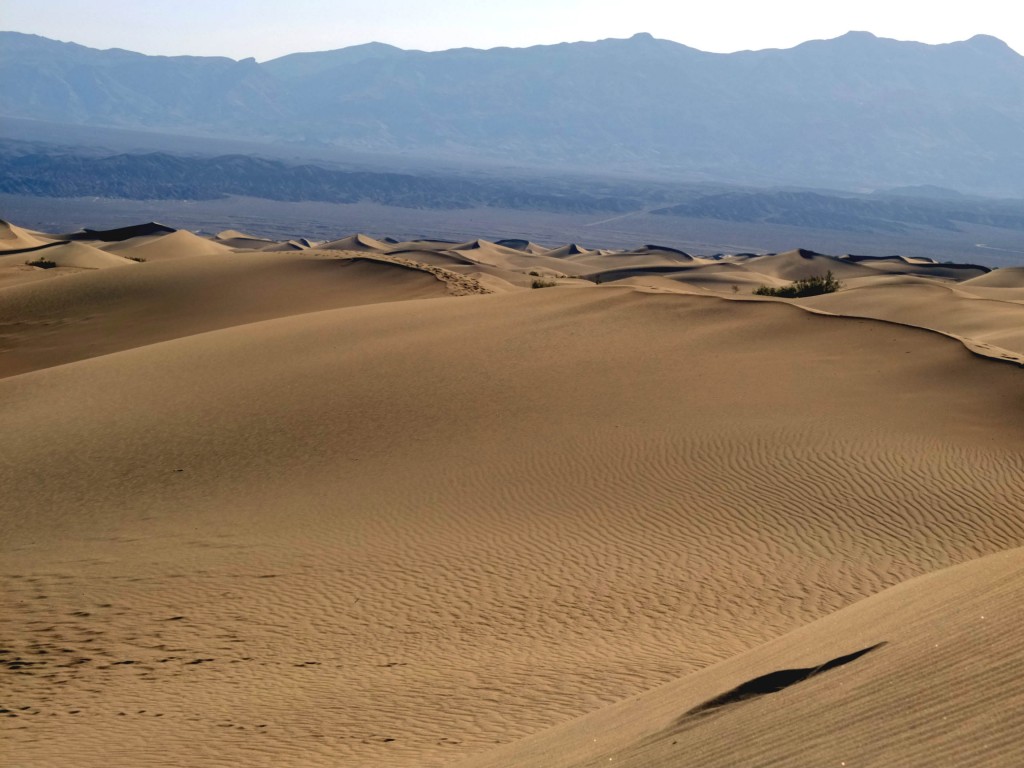 stovepipe wells dunes