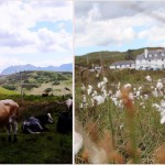 ecosse scotland skye neist point