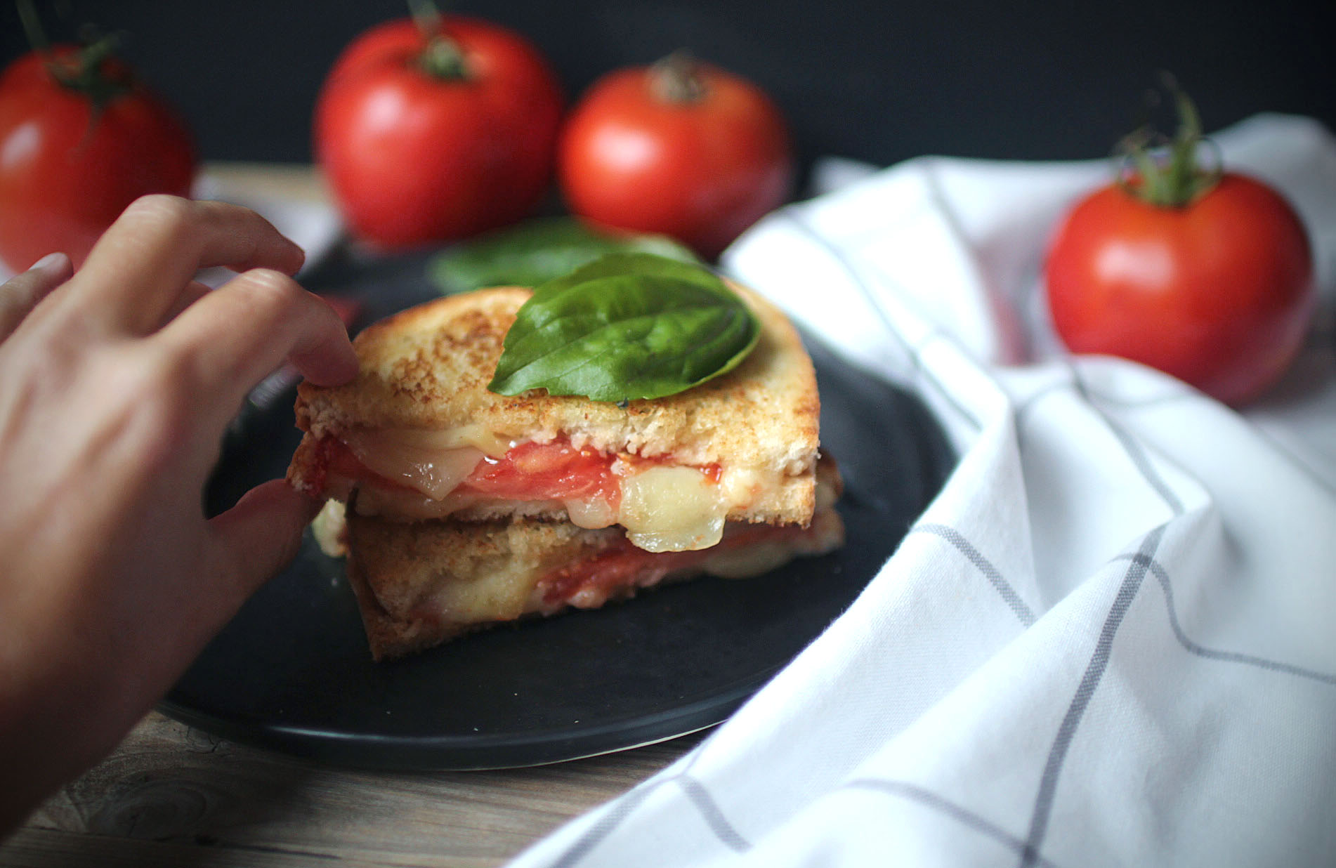 grilled-cheese-croque-monsieur-tomate