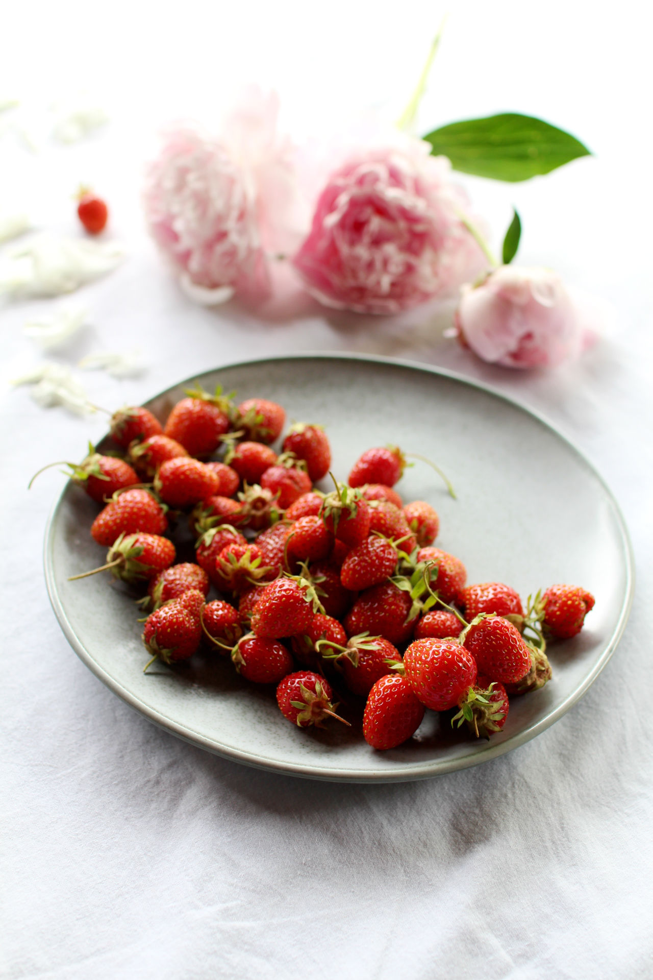 fraises fleurs royal chill blog cuisine
