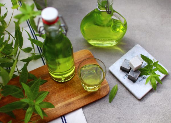 Comment faire sa liqueur de verveine maison