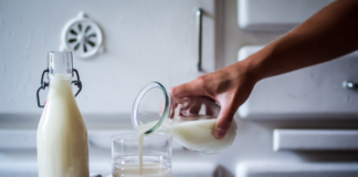 Comment faire son lait d’avoine maison ? La recette