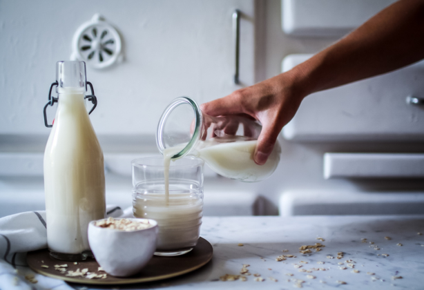 Comment faire son lait d’avoine maison ? La recette | Royal Chill