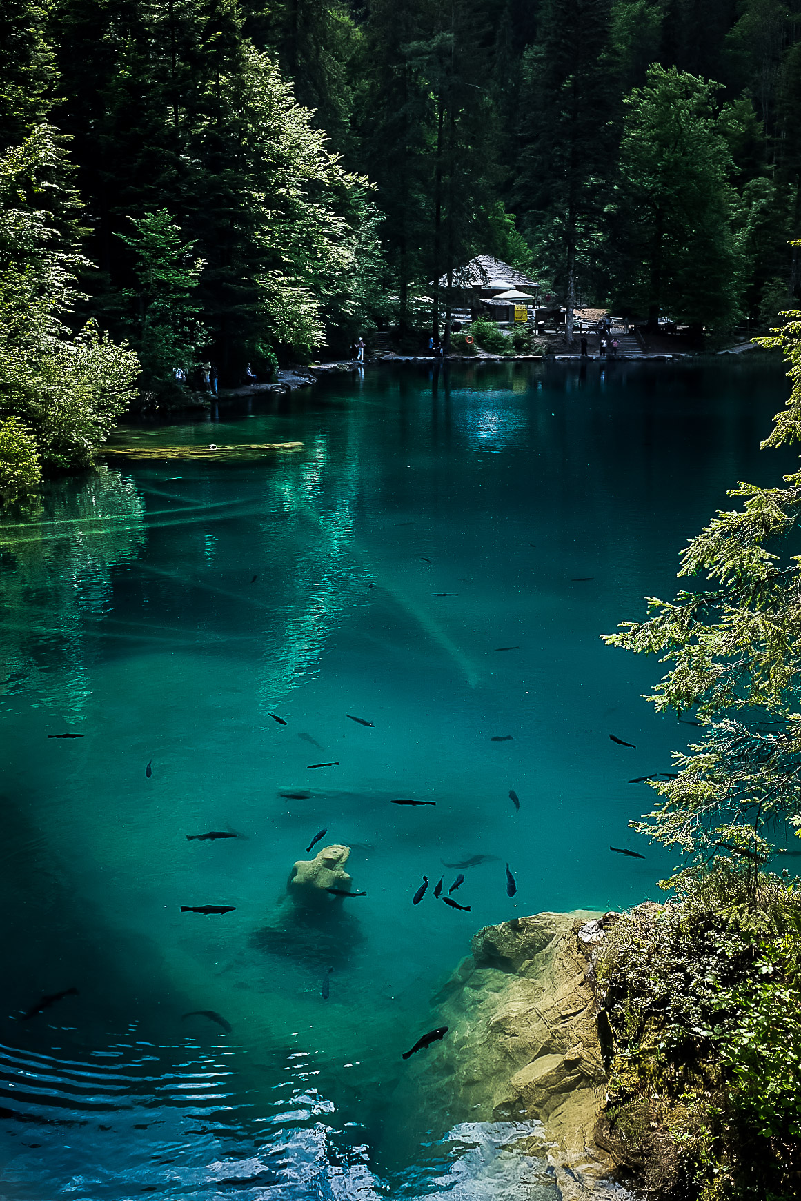 A visiter en Suisse : lac Blausee