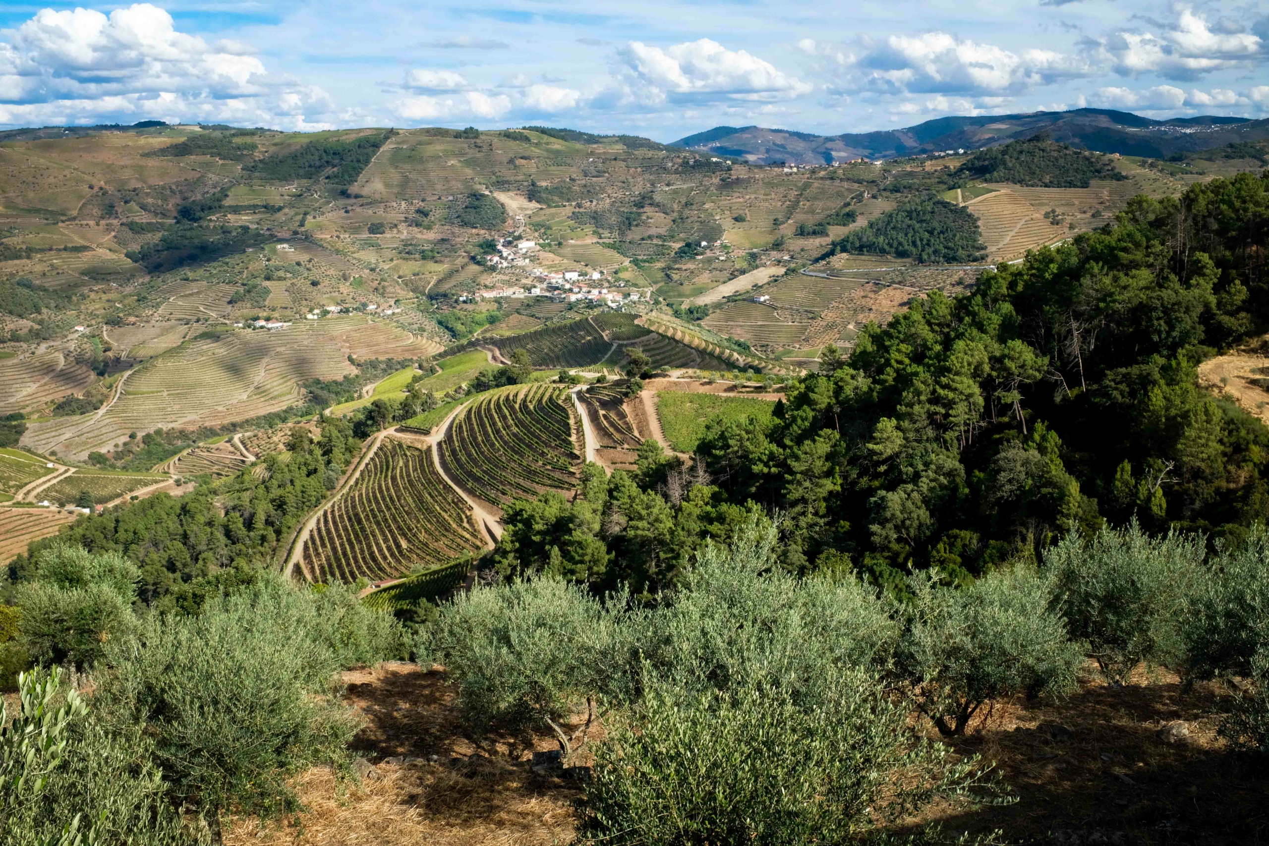 portugal_vallee_douro (8)