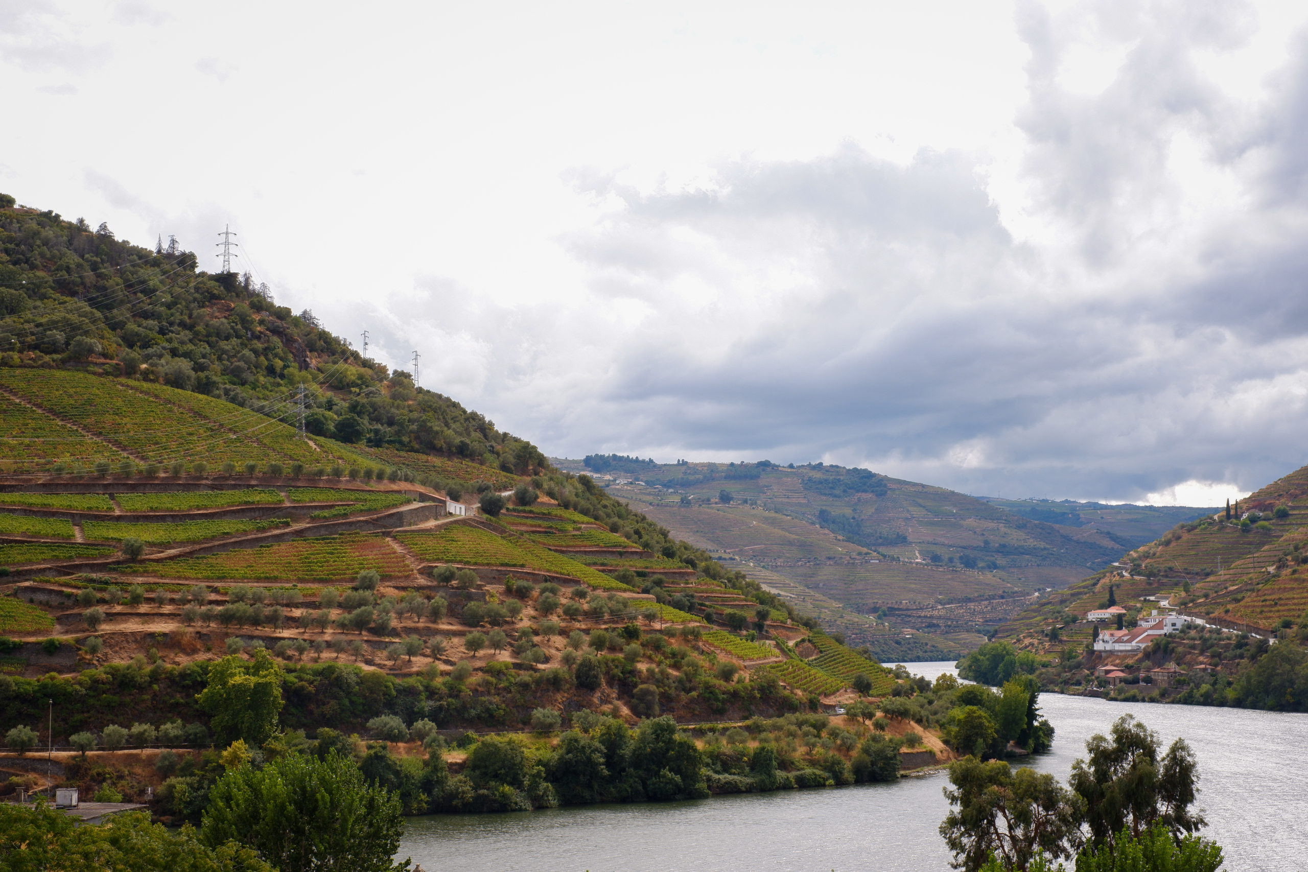 visiter_vallee_douro_portugal (3)