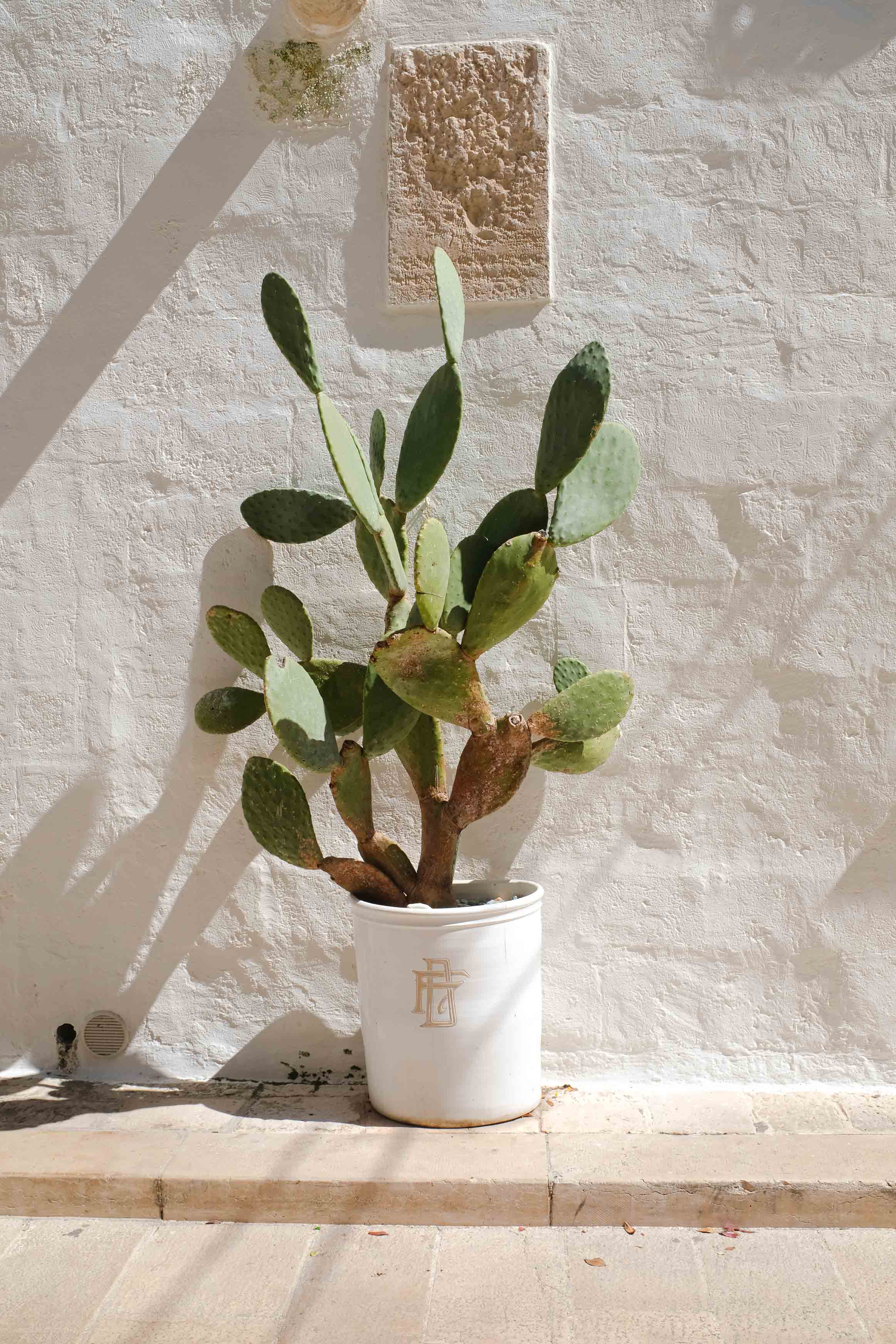 Monopoli, dans les alentours d'alberobello