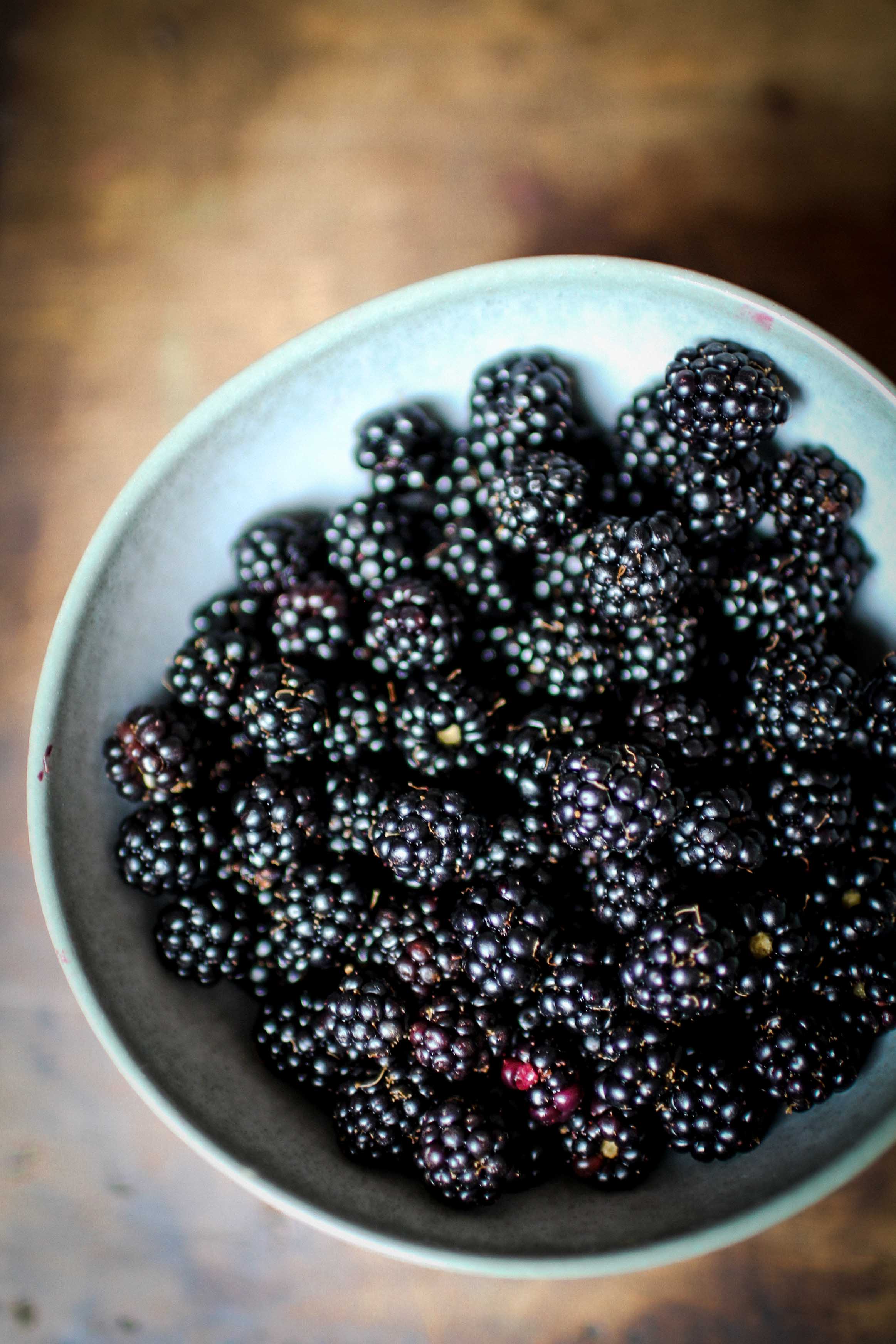 Où ramasser des mûres pour faire de la confiture