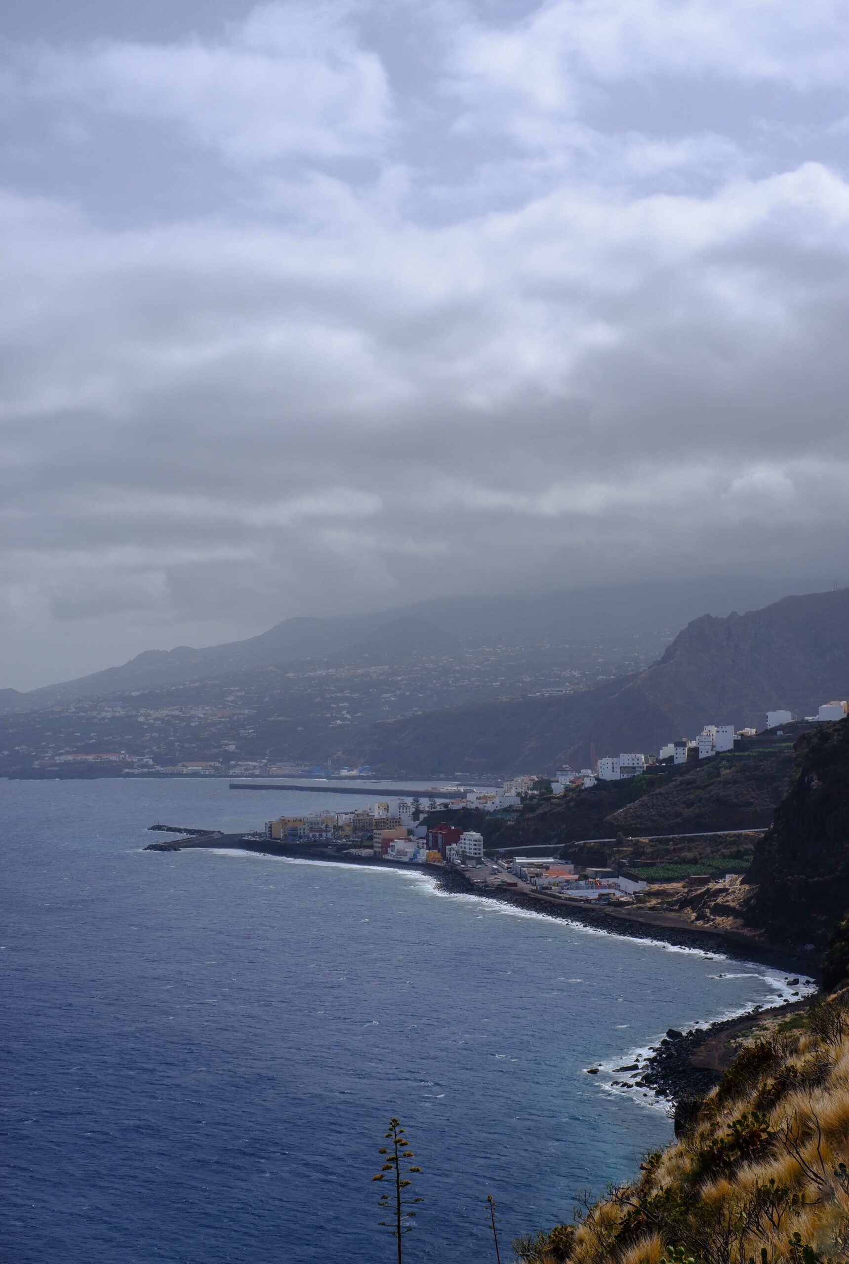 Canaries La Palma