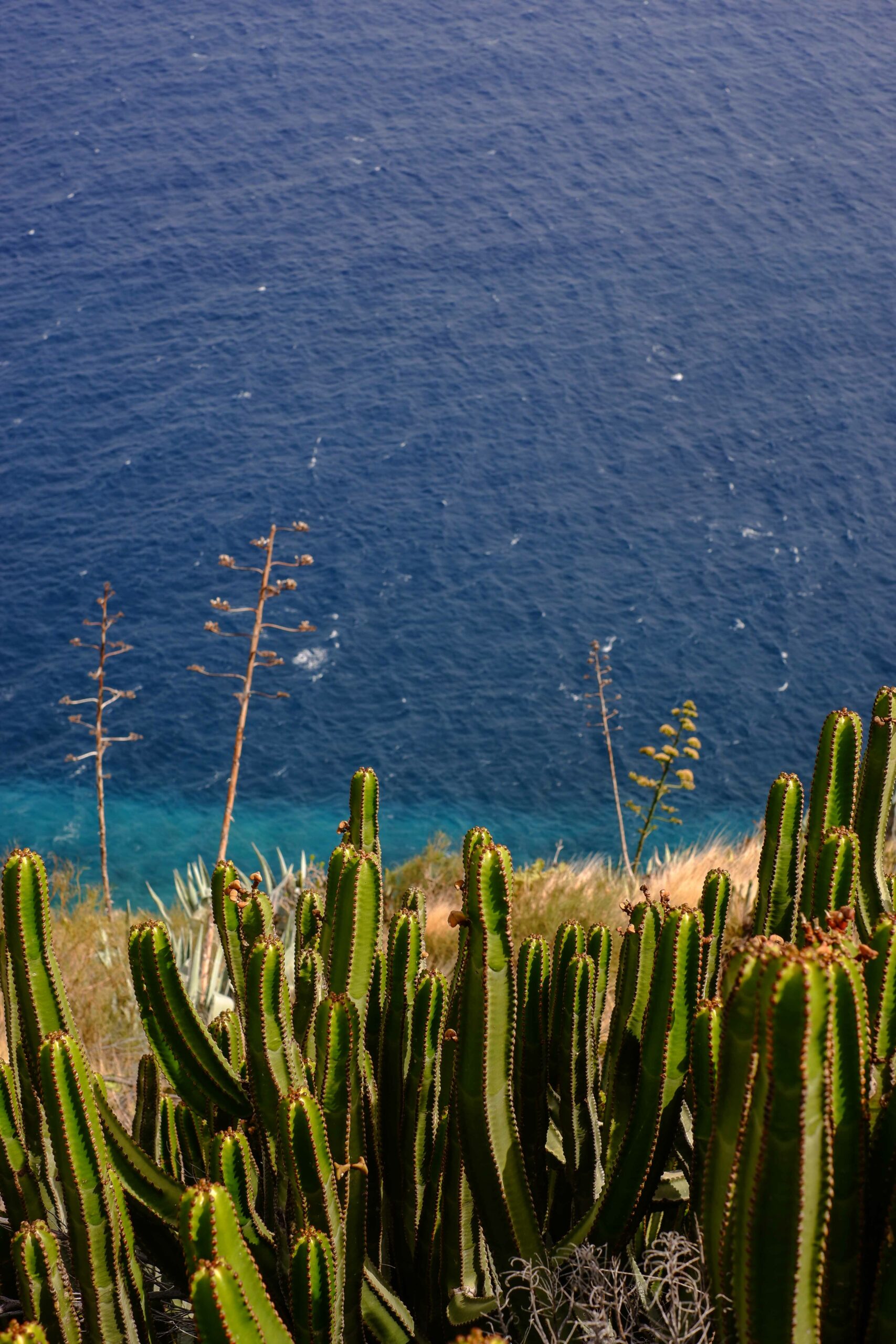 Quelle île des Canaries visiter ? La Palma